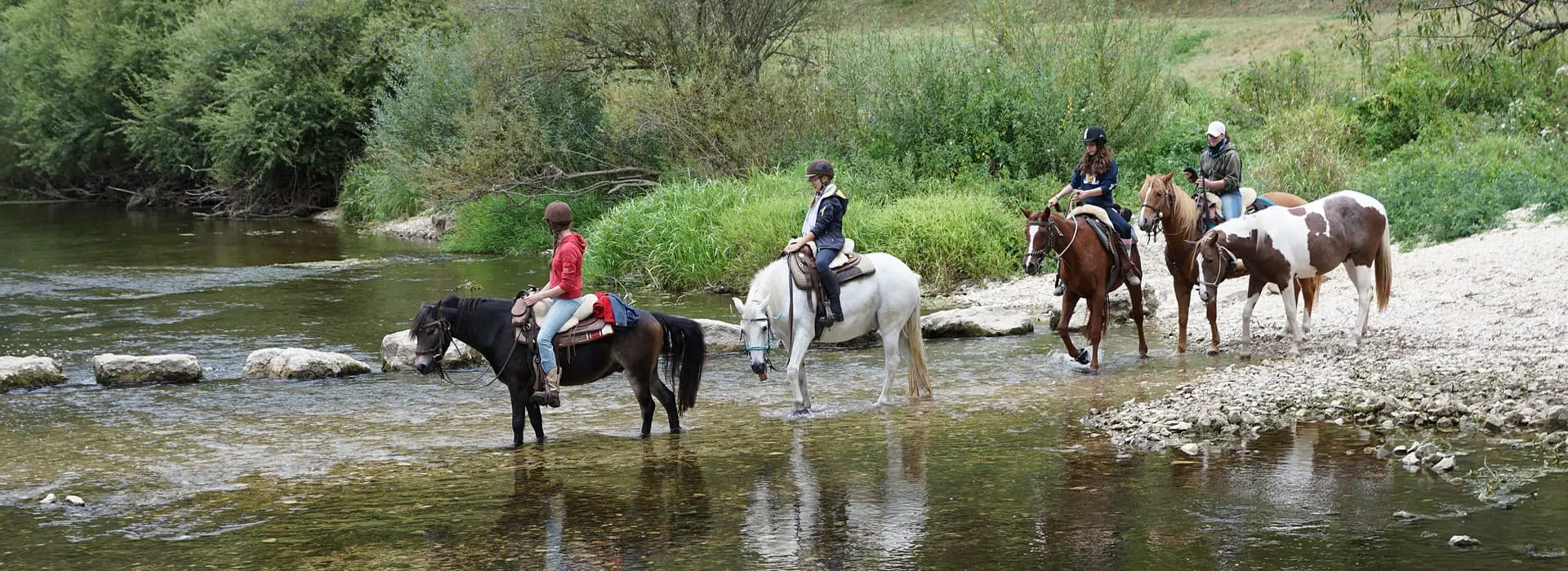 Escursioni a cavallo